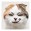122.png